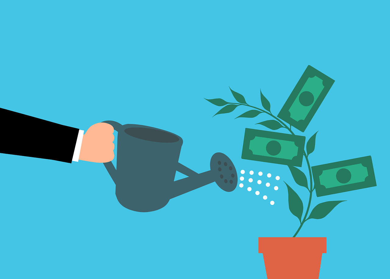 Money Cash Tree Watering Hand  - mohamed_hassan / Pixabay