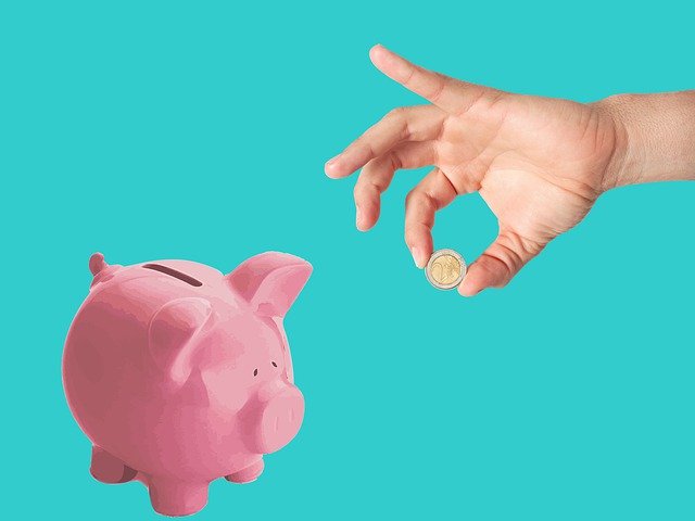 Savings Piggy Bank Money Coin  - Tumisu / Pixabay